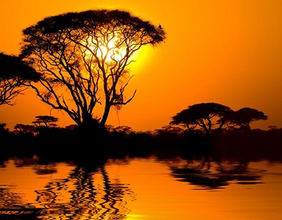 The Ultimate Trip to Africa, Itinerary