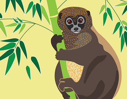 Project thumbnail - Lemur Postcards