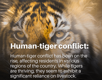 Bengal tiger story