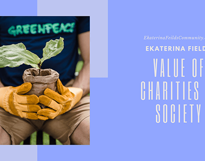 Value of Charities in Society