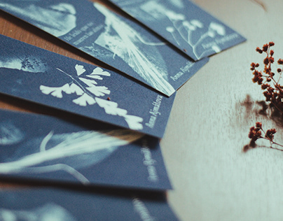 Bookmarks (Works with Cyanotype)