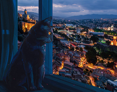 Cat from Tbilisi