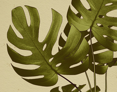Botanical Illustration Poster Series