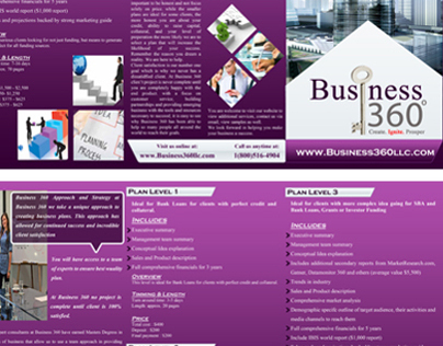 Brochure for Business360
