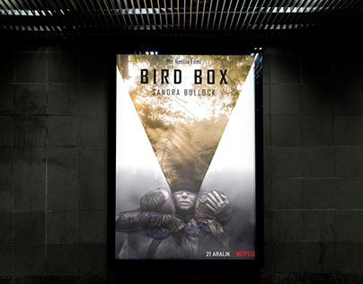 Bird Box Poster Design