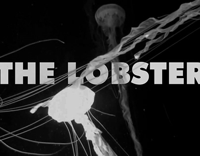 Recreating the Title Sequence for The Lobster (2015)