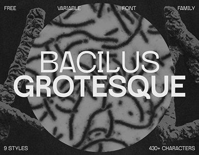 Bacilus Grotesque - Free Variable Font