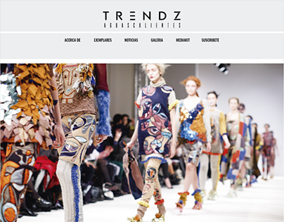 TRENDZ Web Page