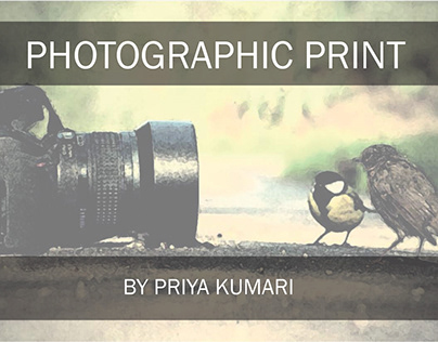 PHOTOGRAPHIC PRINTS