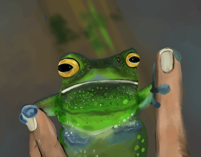 Round frog