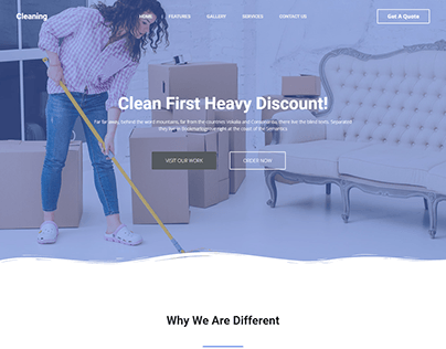 Cleaning First Heady Discount WP Website
