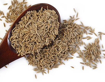 Best Cumin Seeds Exporters in India