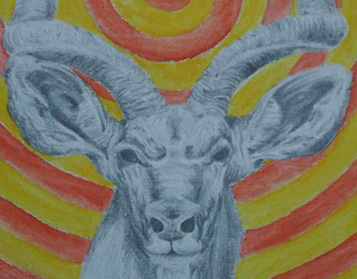 Antelope draw