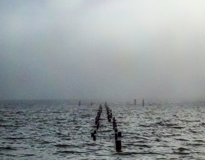 A foggy day at the beach, Ocean Springs, MS
