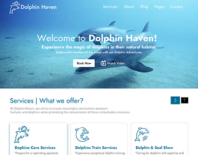 Dolphins show website