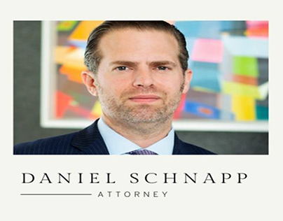 Daniel Schnapp, an Attorney and Litigator Who Handles