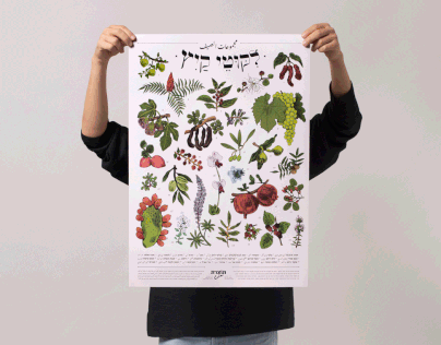 Botanical Poster Illustration