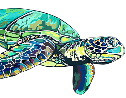 Sea Turtle Illustration