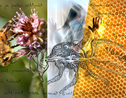"Mehiläishoito" - ”Bee life” Art Installation plan