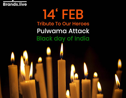 Pulwama attack posters