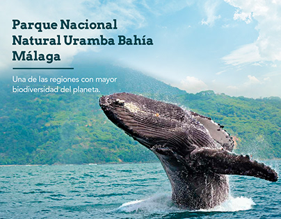 Parque Nacional Natural Uramba Bahia Malaga