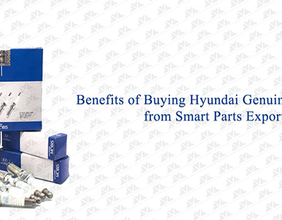 Hyundai genuine spark plugs: 1884810080