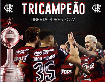 Social Media - Flamengo- Braziline