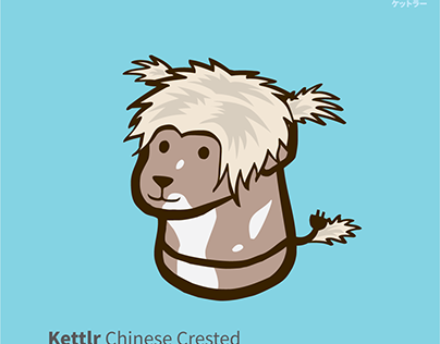 Kettlr Chinese Crested dogs
