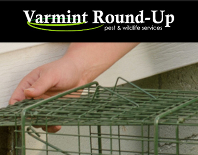 Varmint Round-Up