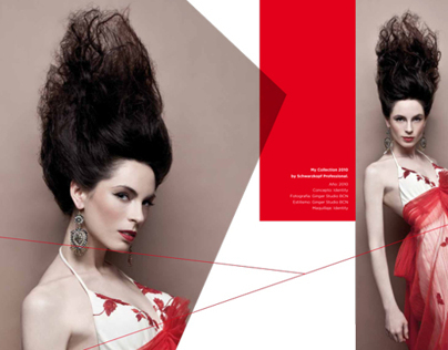 Identity Hairdressing Brochure 2012