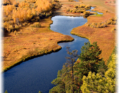 Russia. Bright northern autumn. Lena River Valley