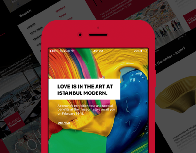 Istanbul Modern App Design Concept