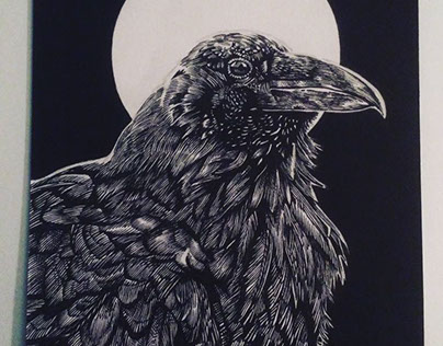 Raven, ink drawing