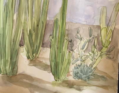 Desert Landscape Study
