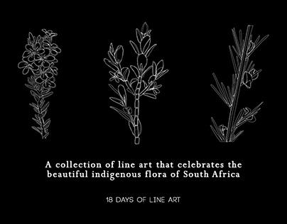 Line Art - South African Flora