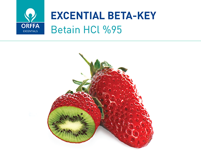 Orffa Excential Beta-Key Magazine Ad (2022)