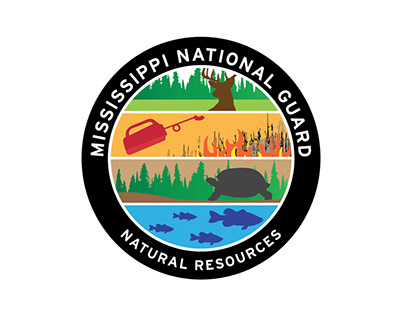 MSNG Natural Resources Logo