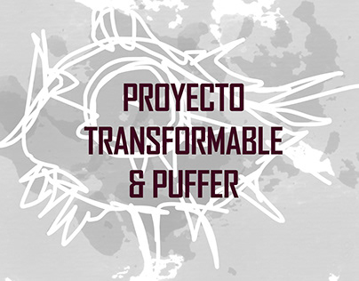 TRANSFORMABLE & PUFFER PROJECT