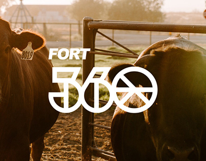Fort 360 - Visual Identy
