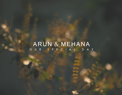 Kerala Hindu Wedding Arun & Mehana WED HL