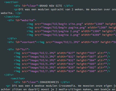 HTML/CSS modulen