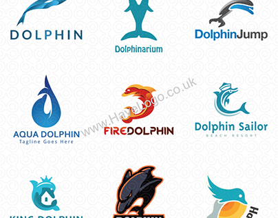 79 Dolphin Logo Designs