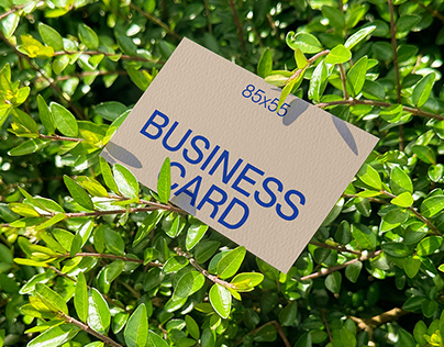 Green Leaf Business Card Mockup