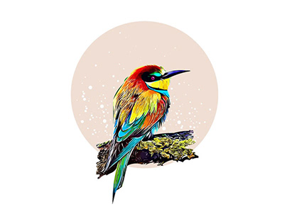 Wild Bird Scoop Vector Illustration
