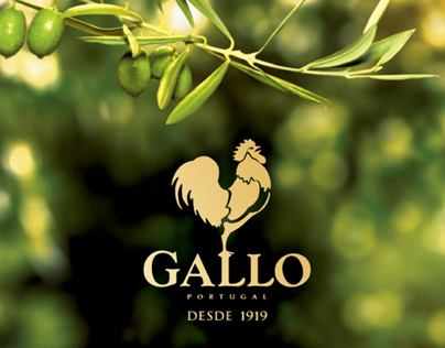 GALLO Olive Oil