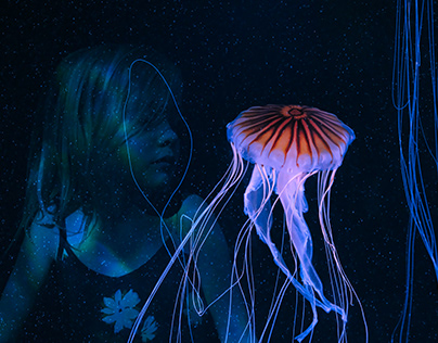 Project thumbnail - Jelly at the Aquarium