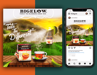 Bigelow Tea Social media design for ads