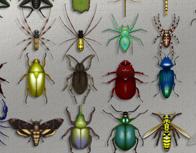 Bug Museum - IPad application design