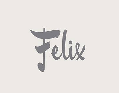 Felix Jugueteria | Diseño aplicacion, POP, varios