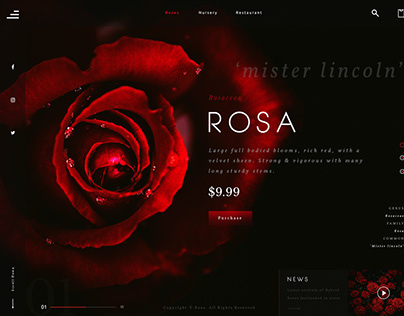 Red Rose UI/UX Landing Page